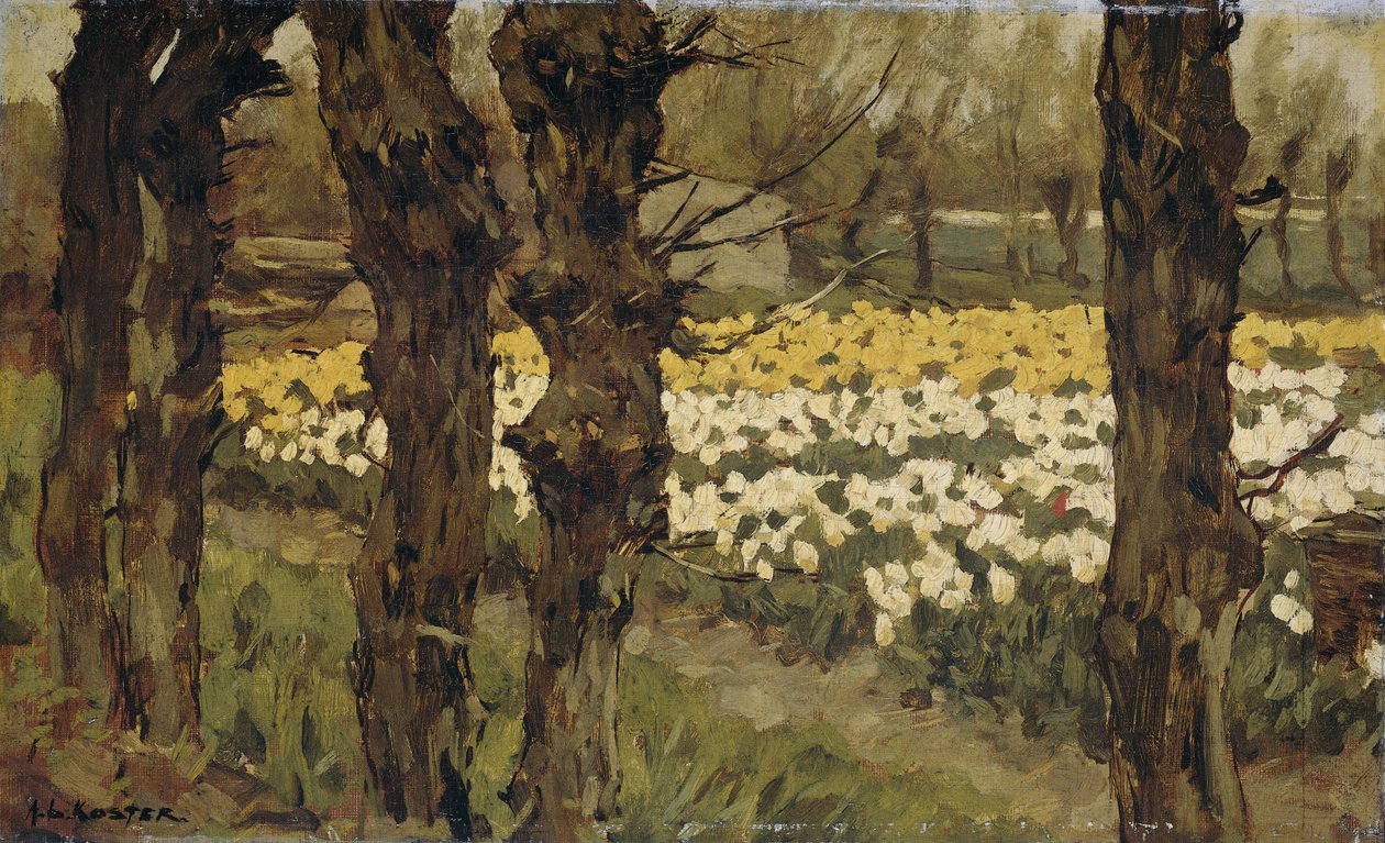 Tulipánová pole od Antonie Louis Koster