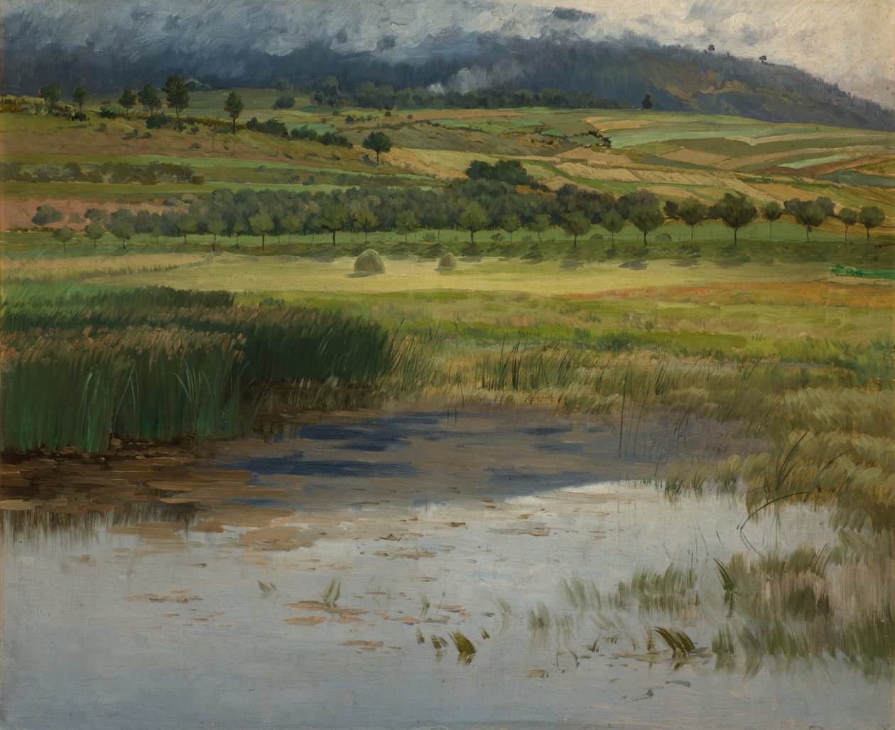 Utopený rybník, 1887 od Antonin Chittussi