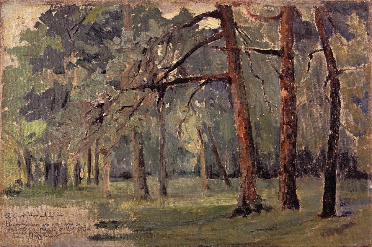 Bagatelle Paříž, Francie od Antonio Parreiras