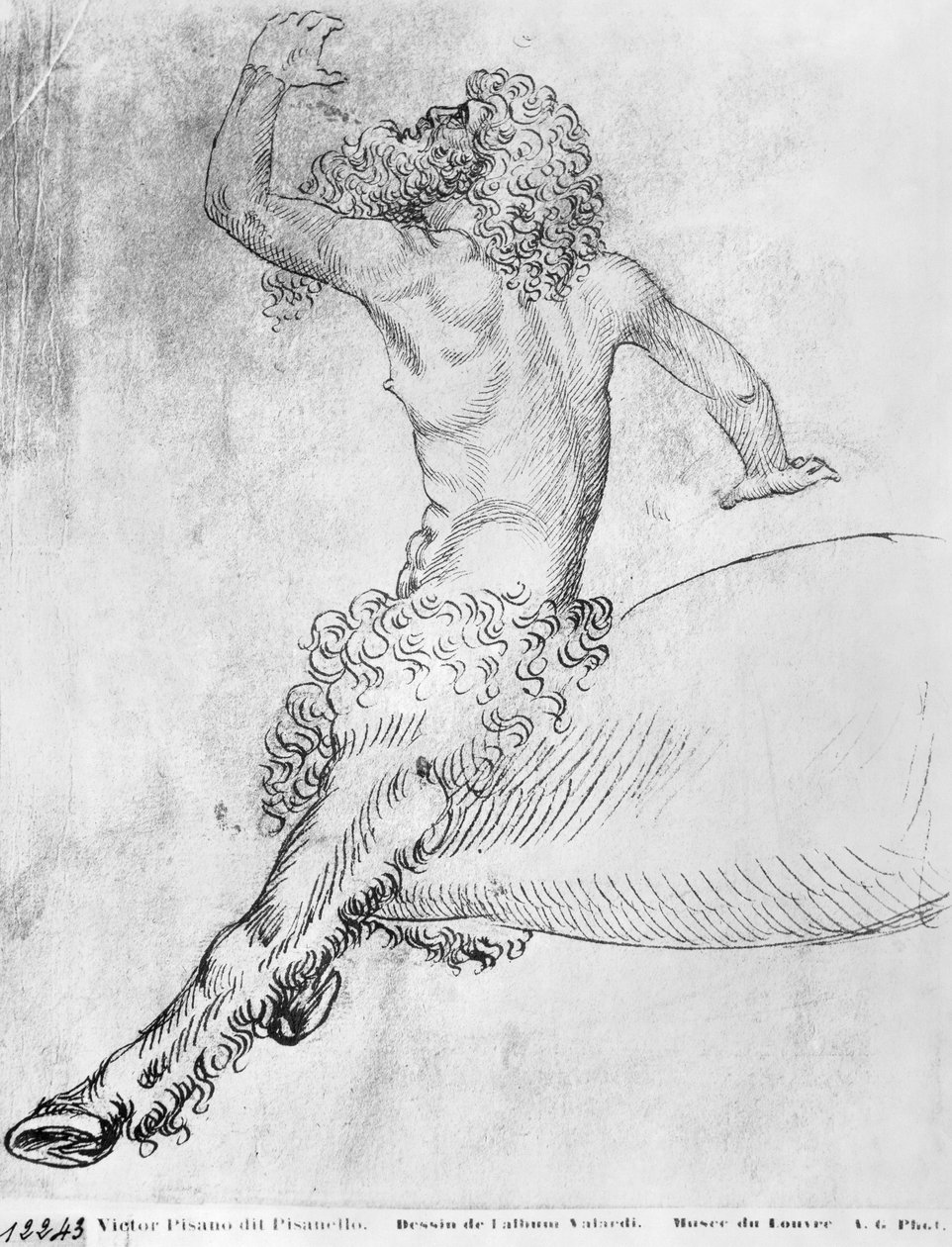 Kentaur z alba The Vallardi od Antonio Pisanello
