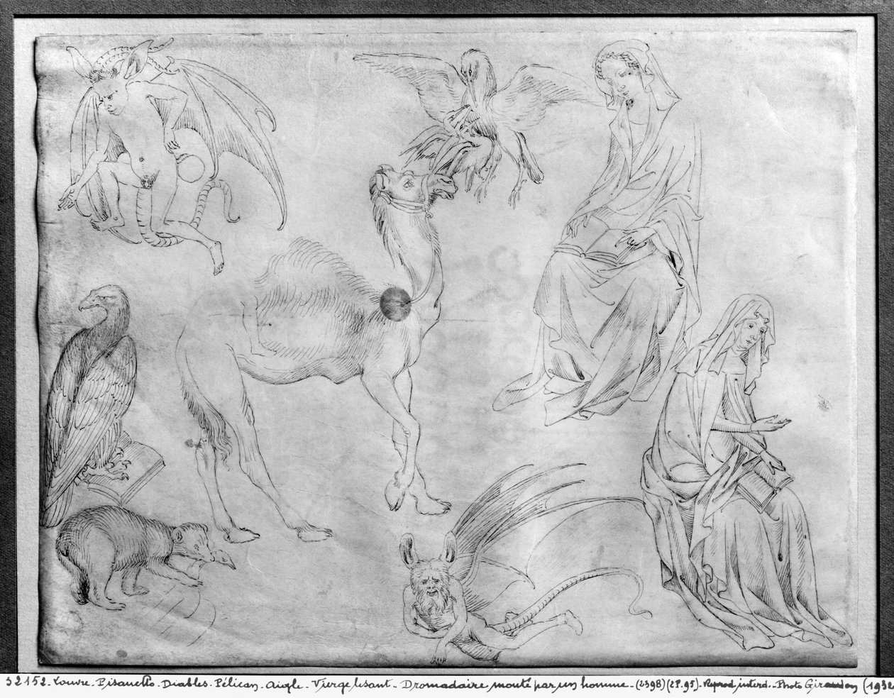 Studijní list z alba The Vallardi Album od Antonio Pisanello
