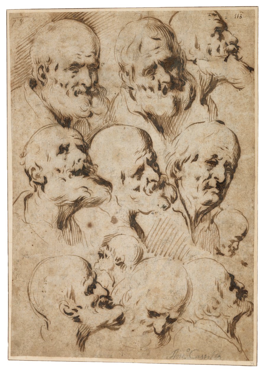 Studie o hlavách apoštolů, kolem roku 1650 (rákosové pero a hnědý inkoust na potištěném papíře) od Antonio del Castillo y Saavedra