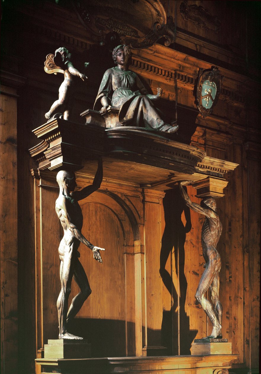 Sochy dvou nahých mužů bez kůže, známých jako gli spellati (ty stažené z kůže), anatomické divadlo od Antonio (d.1663) Paolucci