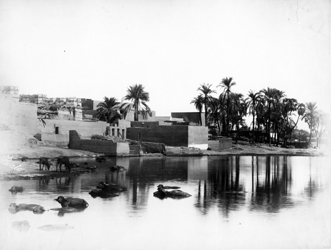 Luxor viděný z nilské lodi, kolem 1860-80 od Antonio Beato