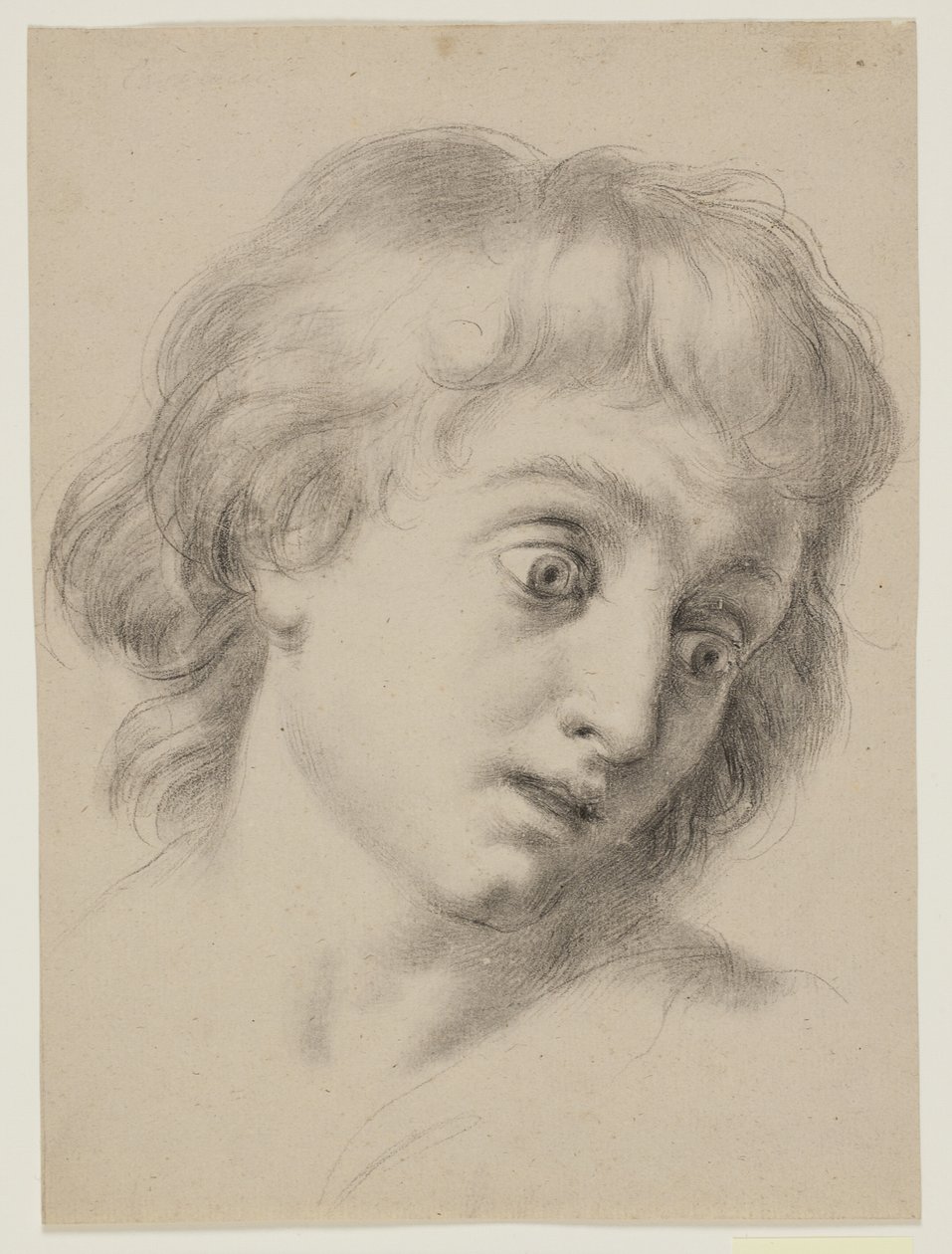 Hlava chlapce od Antonio Cavallucci