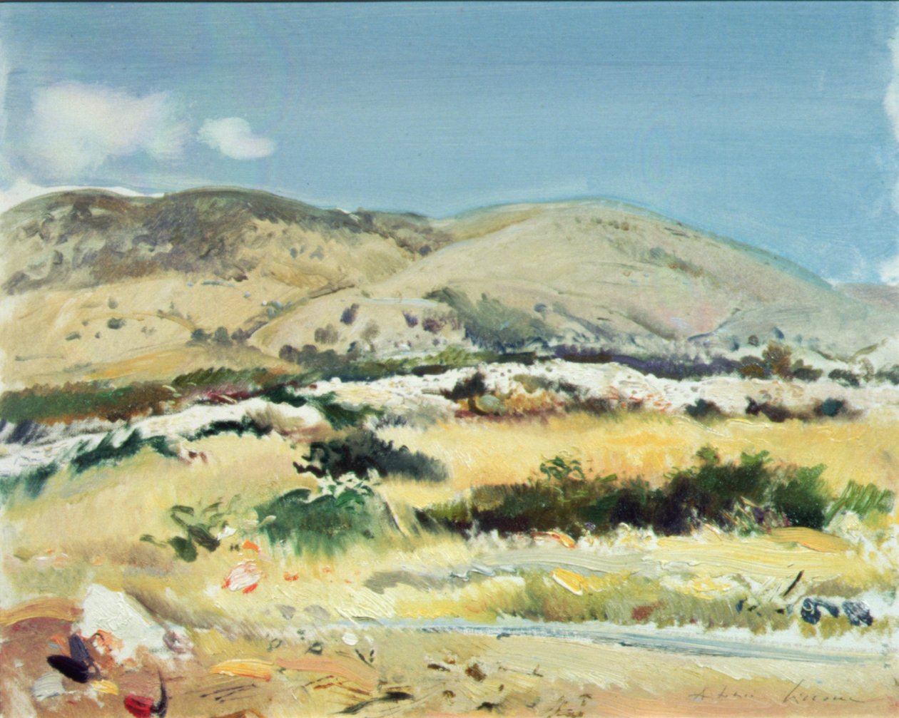 Gargano, 1981 od Antonio Ciccone