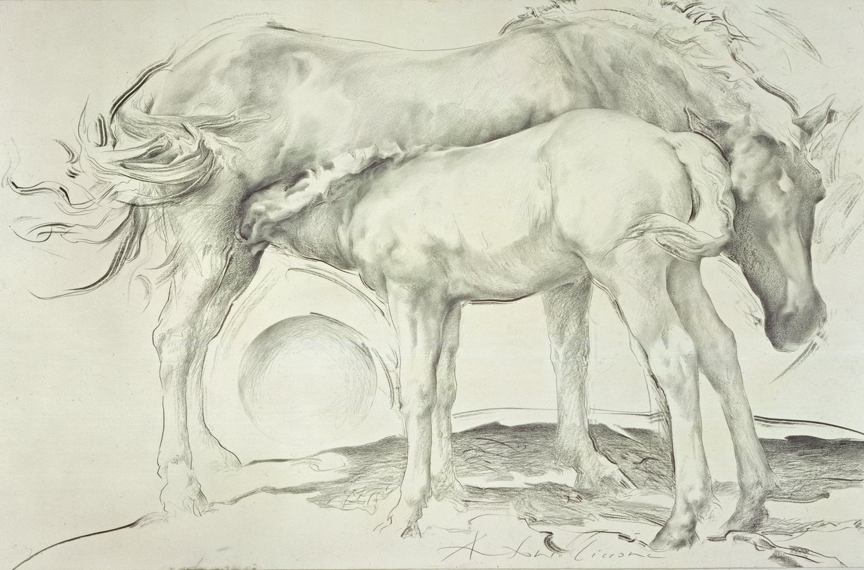 Koně v Coolmore, 1990 (uhlí na papíře) od Antonio Ciccone