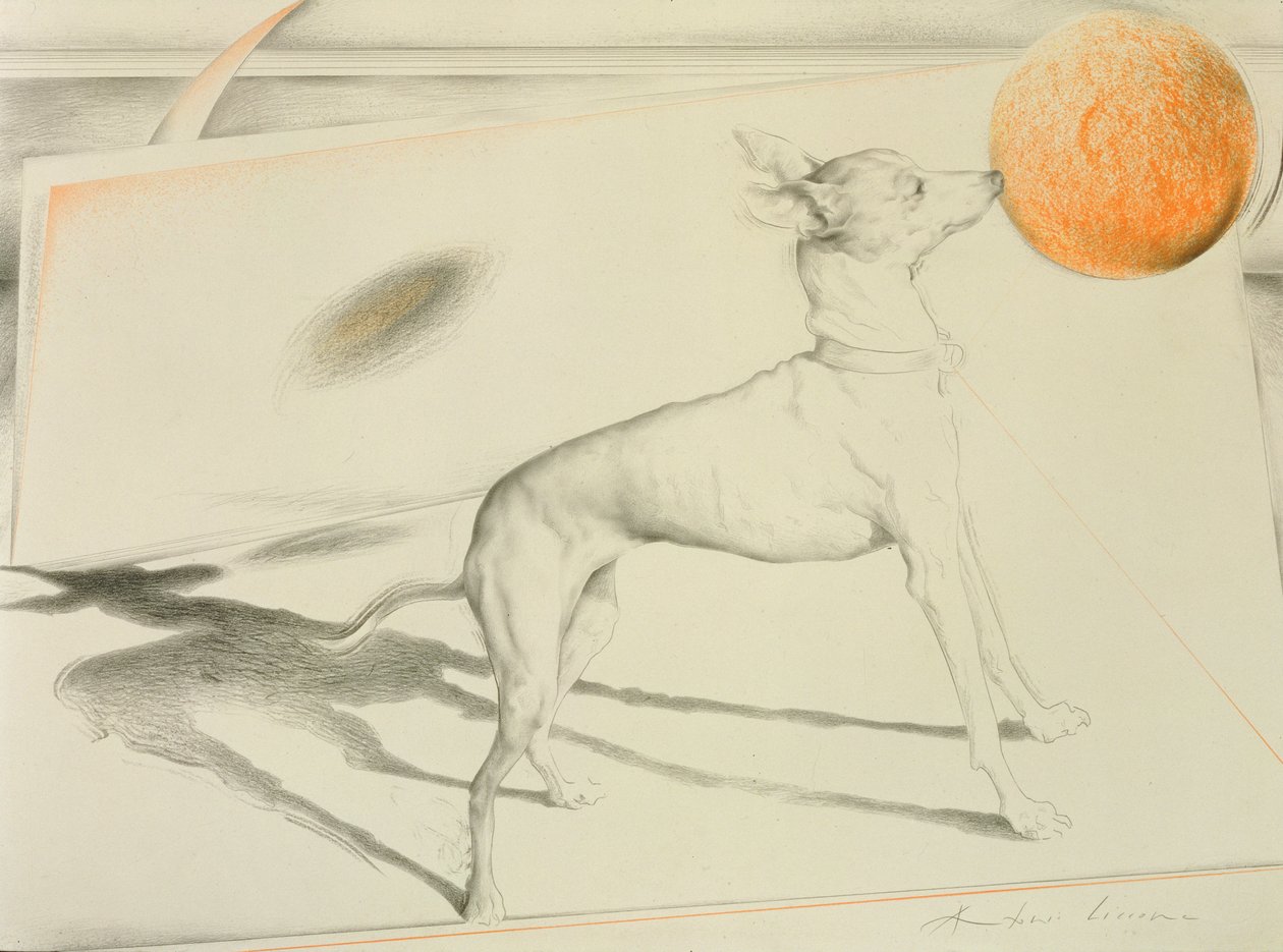 Space Dog (uhl a pastel na papíře) od Antonio Ciccone