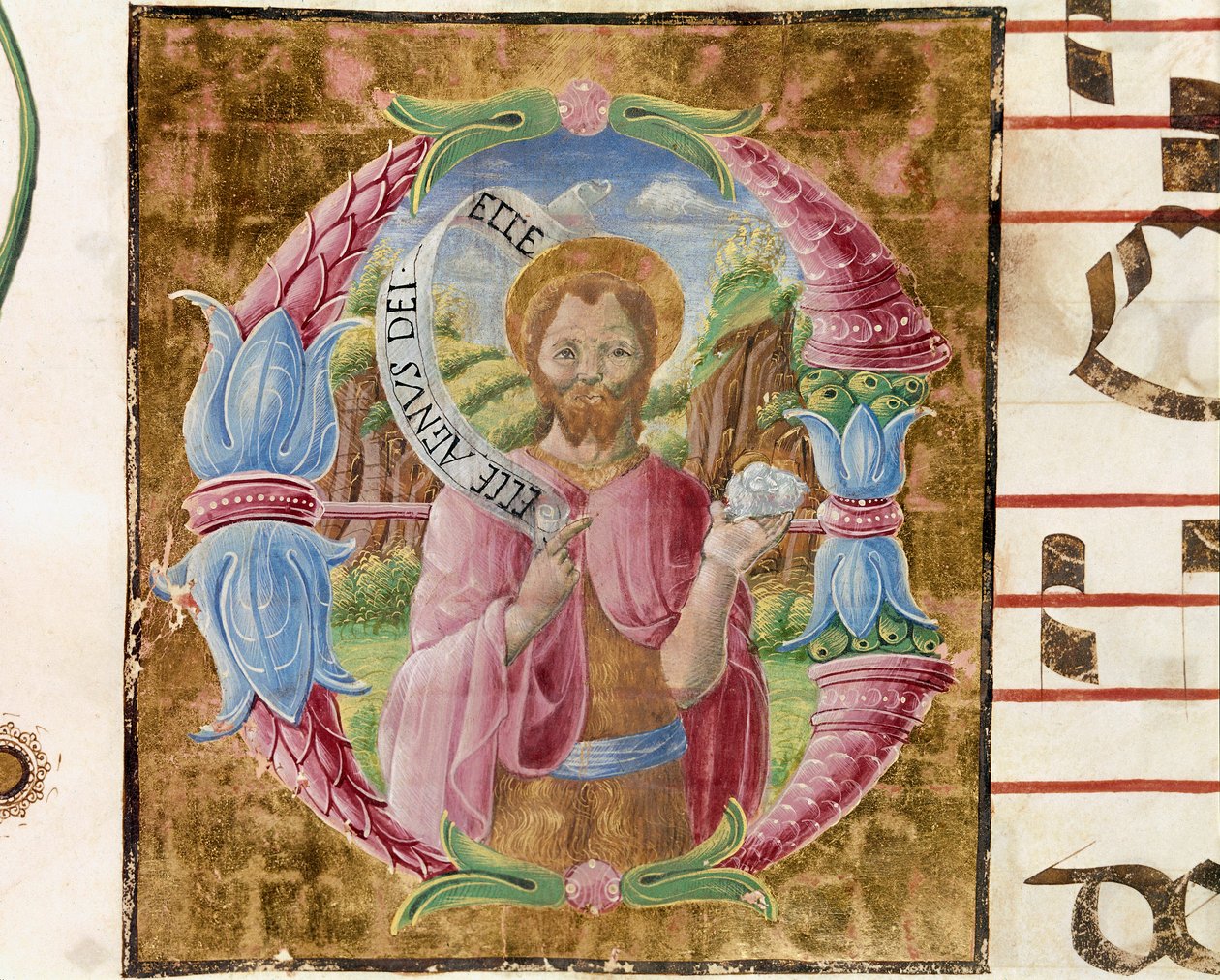 Svatý Jan Křtitel Lettrine osvětlená Antoniem Cicognarim. Detail antifonáře. 1483. Cremone, chorál 4, kapitula katedrály od Antonio Cicognara
