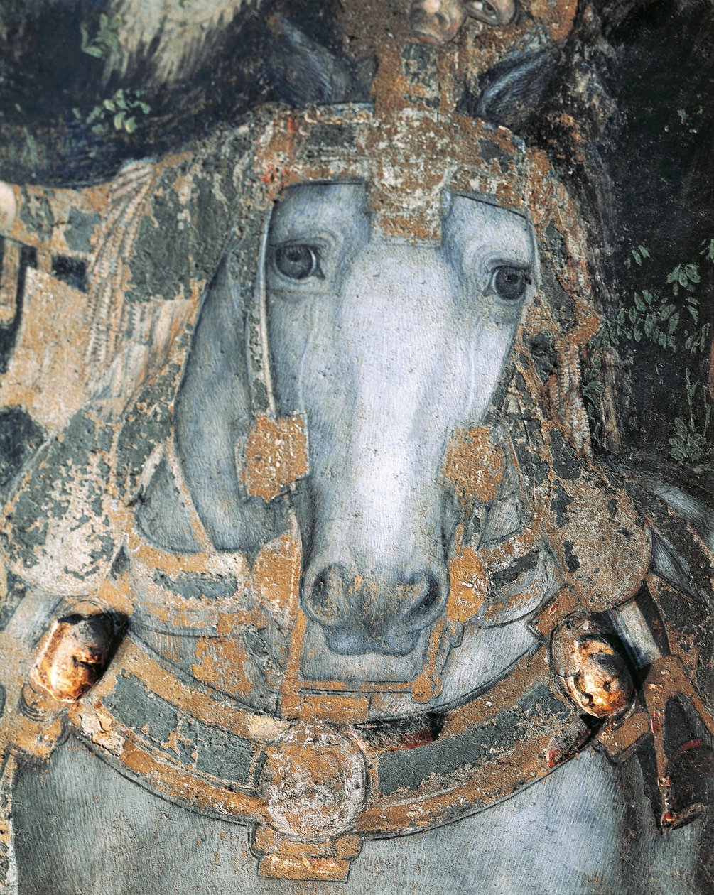 Kůň v postroji, detail ze Svatého Jiří a princezny od Antonio Pisanello
