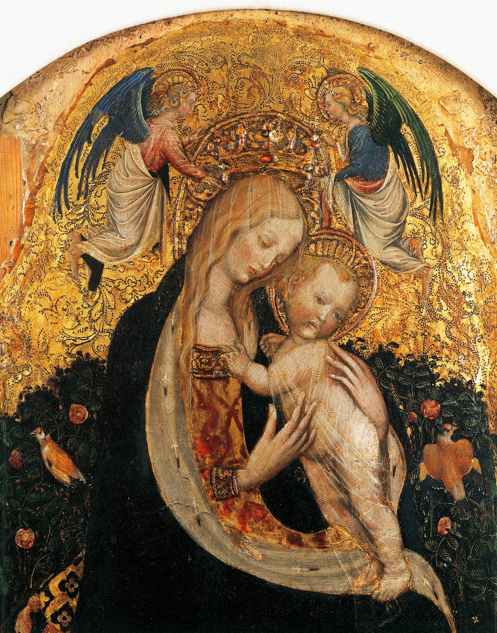Madona s křepelkou, Antonio Pisanello (1395-1455), detail od Antonio Pisanello