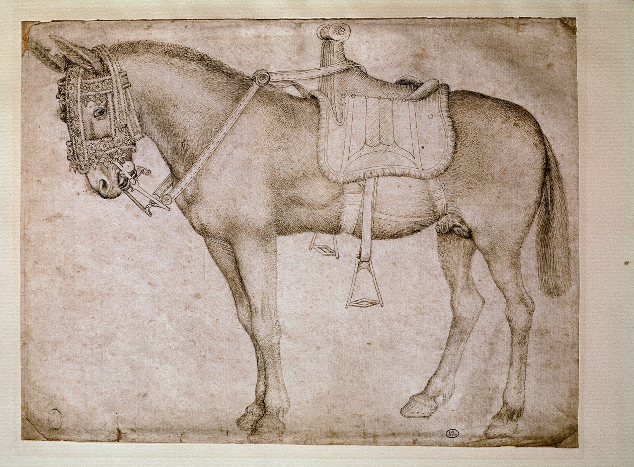Postroj pro mule. Kresba Antonia Pisano dit il Pisanello (1380-1455) od Antonio Pisanello