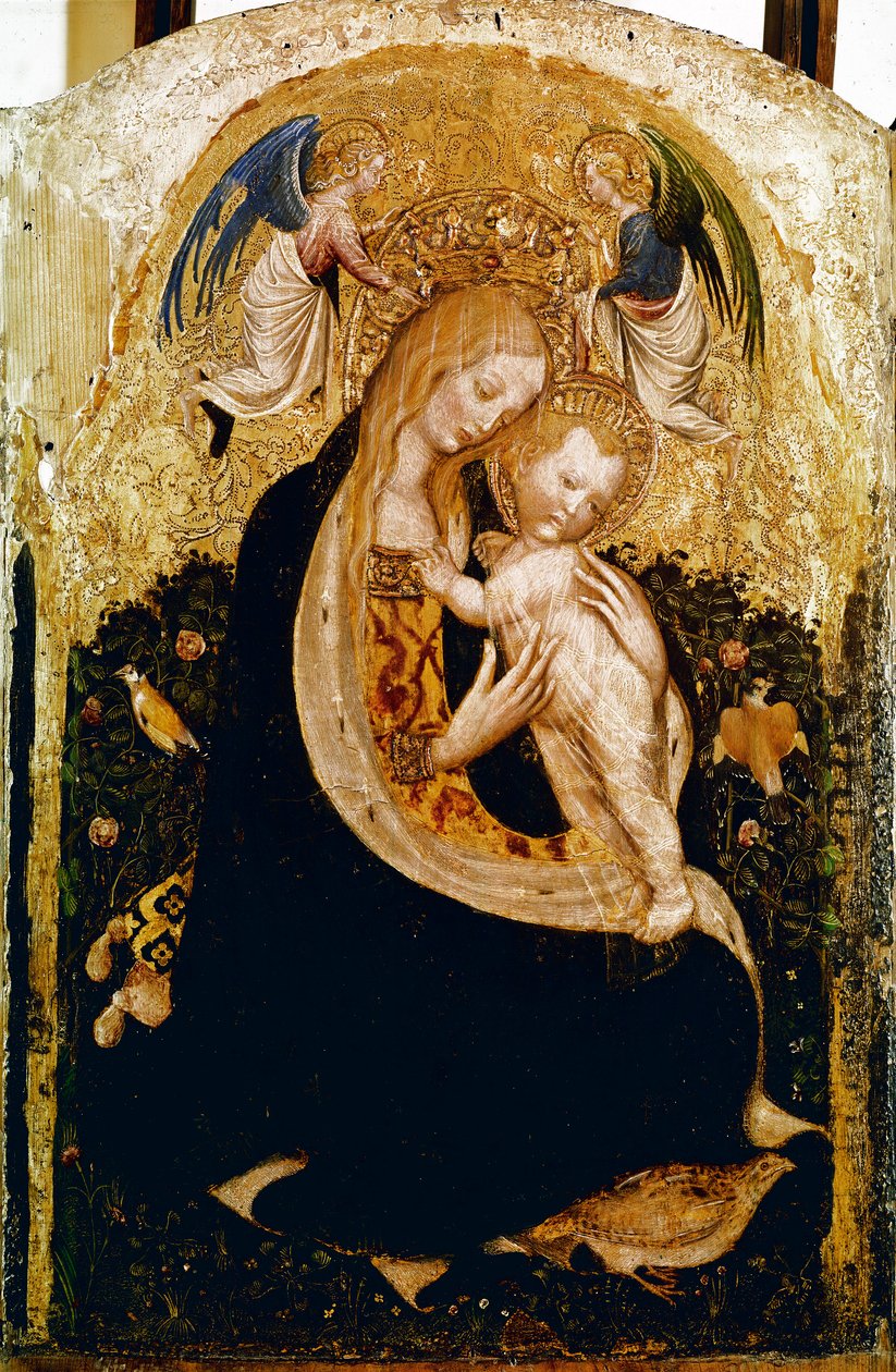 Madonna má křepelka Detrempe na dřevě Pisanello (Antonio Pisano) (asi 1380-1455). cca 1420 Rozměr.50x33 cm Verone, Castevecchio Museum - Madona s křepelkou, od Antonia Pisana a.k.a Pisanello (1380-c.1455)., Tempera na dřevě, 50x33 cm od Antonio Pisanello