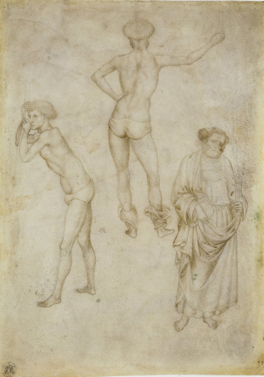 Dvě studie mužské postavy a Svatý Petr, 1430-1435 od Antonio Pisanello