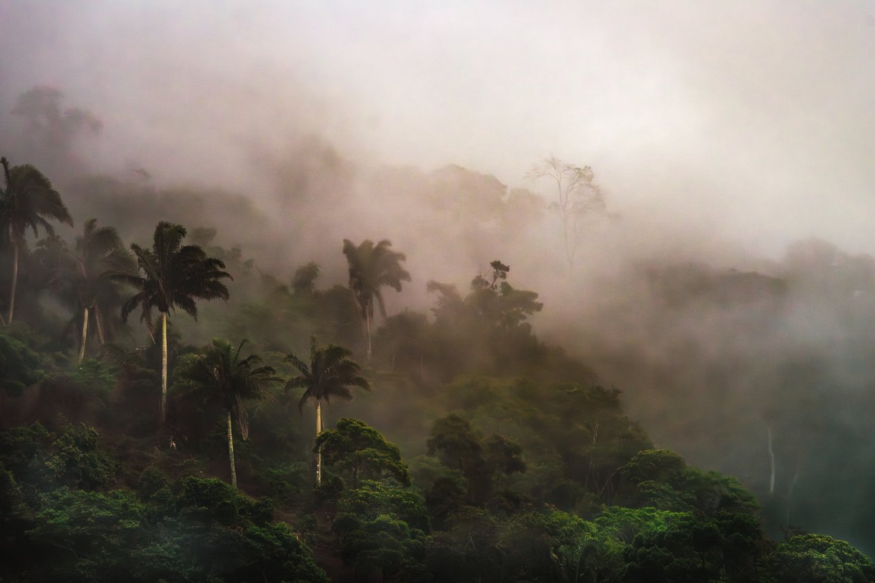 Corcovado XIX, 2020 (digitální fotografie) od Antonio Schubert