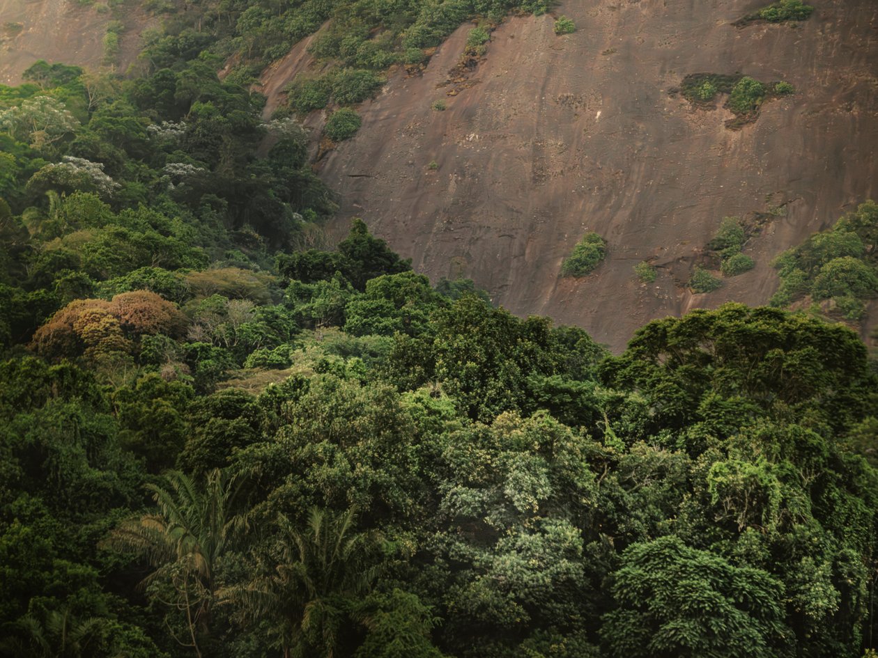Corcovado XV, 2020 (digitální fotografie) od Antonio Schubert