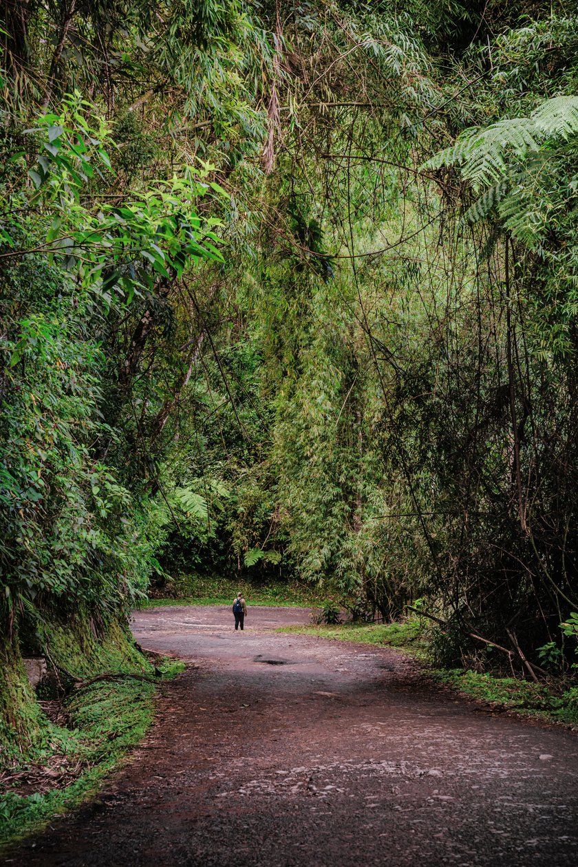 Mantiqueira XLIII, 2015 (digitální fotografie) od Antonio Schubert