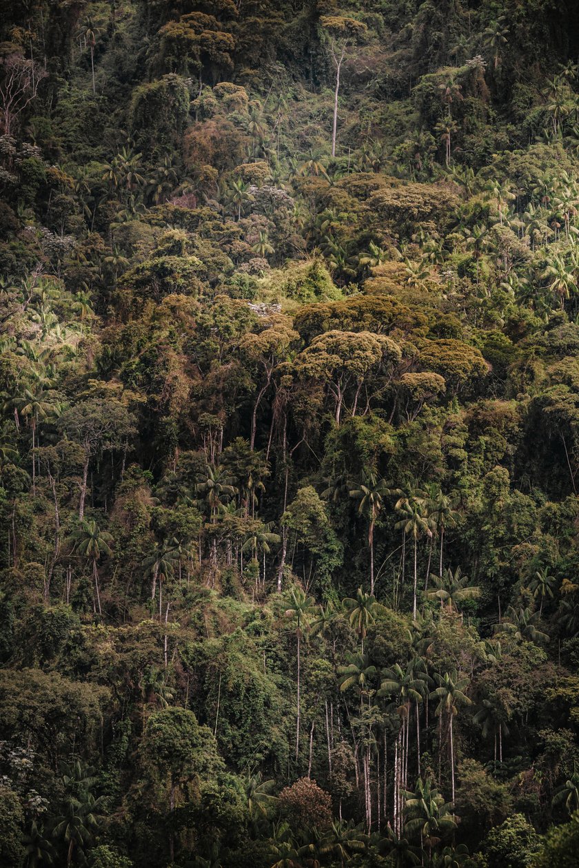 Mantiqueira XXXV, 2015 (digitální fotografie) od Antonio Schubert