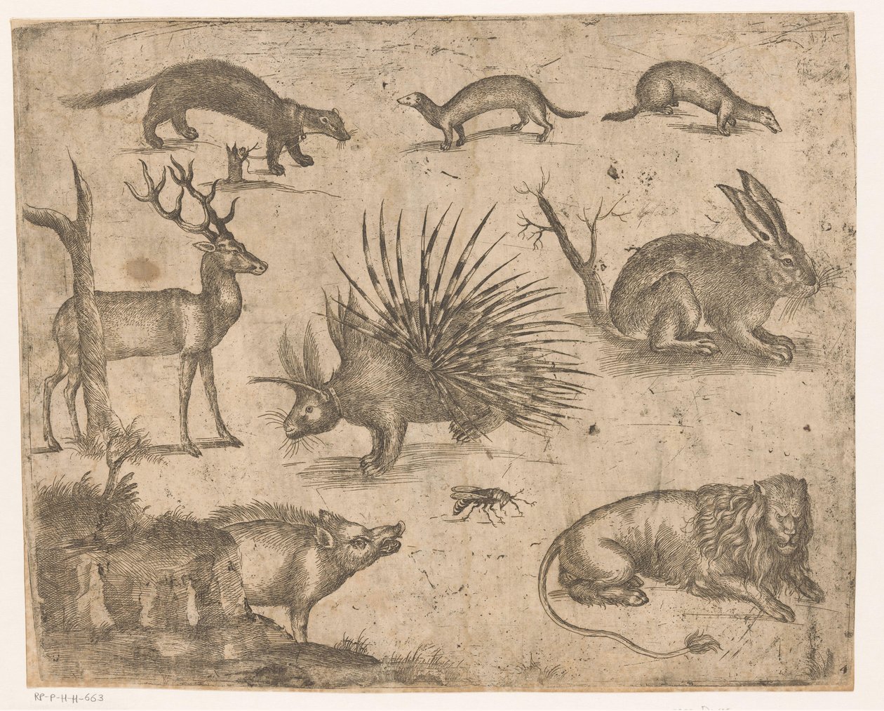 Studijní list s různými zvířaty od Antonio Tempesta (attributed to)