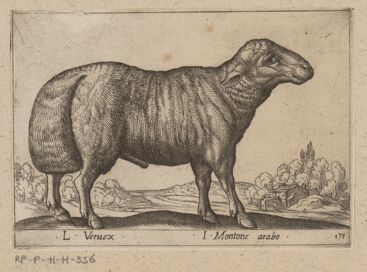 arabsky schaap L Veruex/ I Montone arabo (název na objektu) Dieren en fablewezens (název série) Nová kolekce nejkurióznějších zvířat světa (název série) od Antonio Tempesta