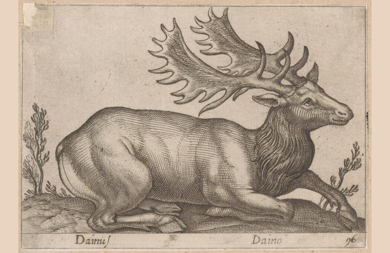 Damhert Dainus / Daino (název na objektu) Dieren en fabelwezens (název série) Nova sbírka nejkurióznějších zvířat na světě (název série) od Antonio Tempesta