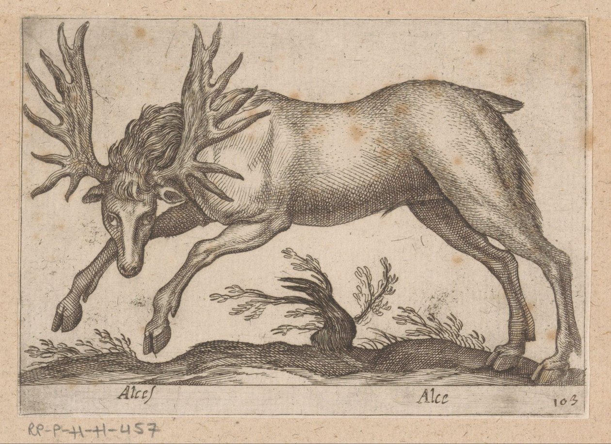 Eland Los / Moose (název na objektu) Dieren en fablewezens (název série) Nová kolekce nejkurióznějších zvířat světa (název série) od Antonio Tempesta