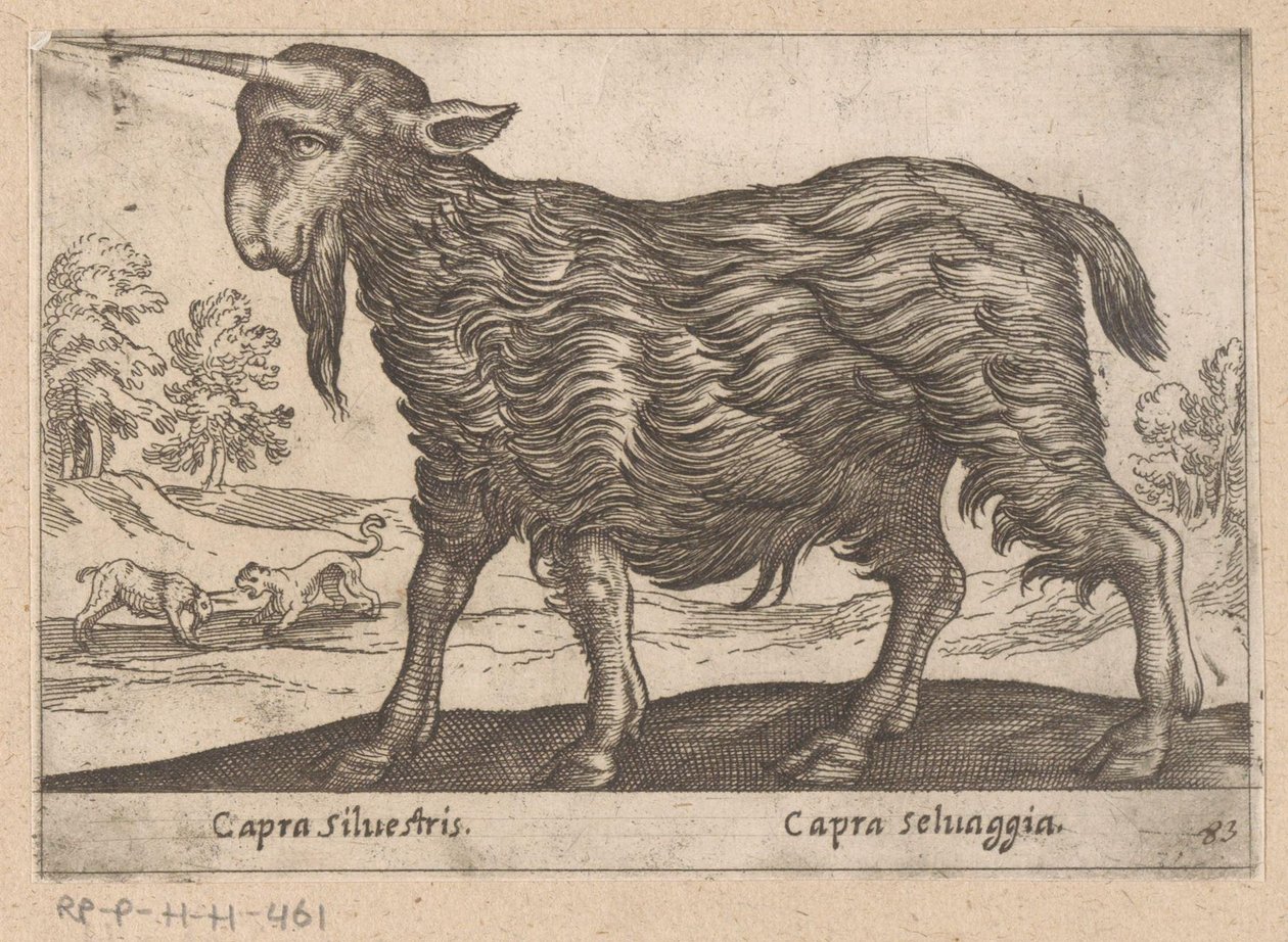 Koza s jedním rohem Capra Silvestris / Capra Selvaggia (název na objektu) Dieren en fablewezens (název série) Nová kolekce nejkurióznějších zvířat světa (název série) od Antonio Tempesta