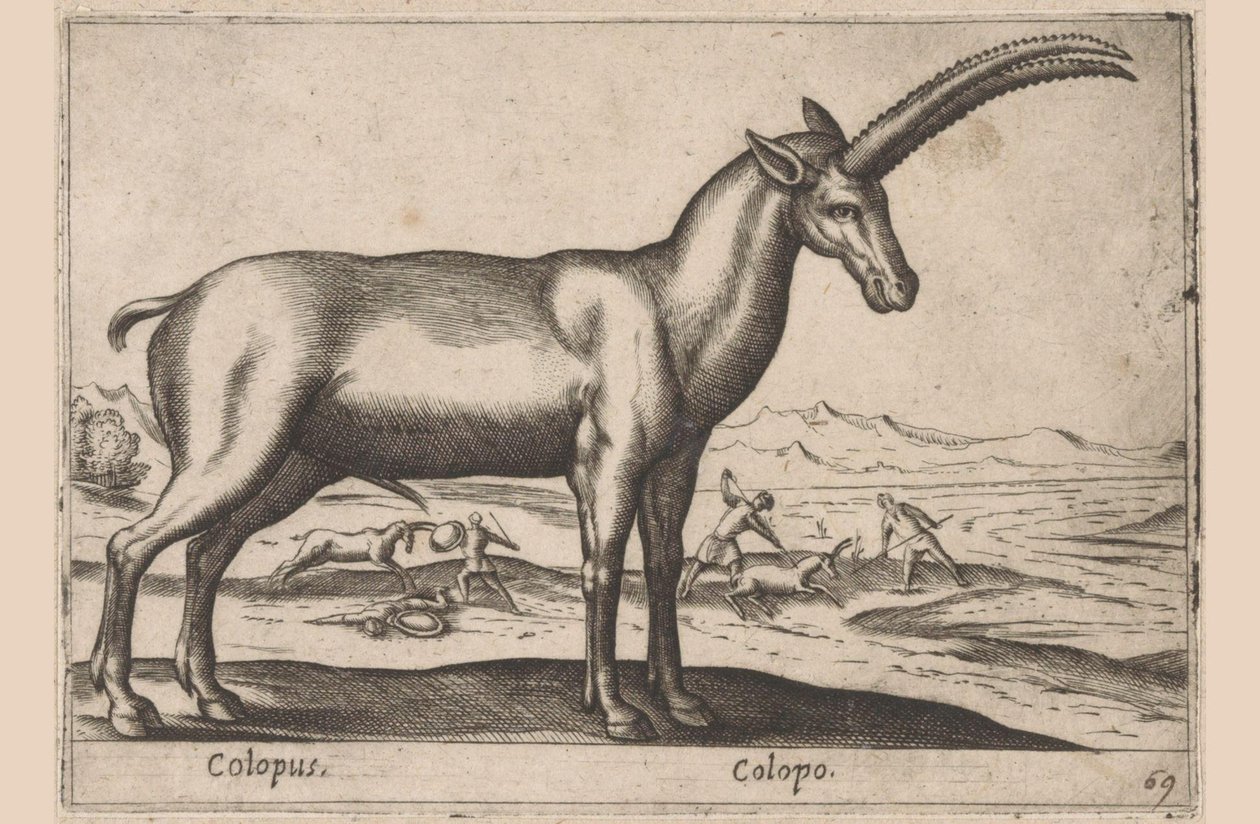 kozí Colopus/ Colopo (název na objektu) Dieren en fablewezens (název série) Nová kolekce nejkurióznějších zvířat světa (název série) od Antonio Tempesta
