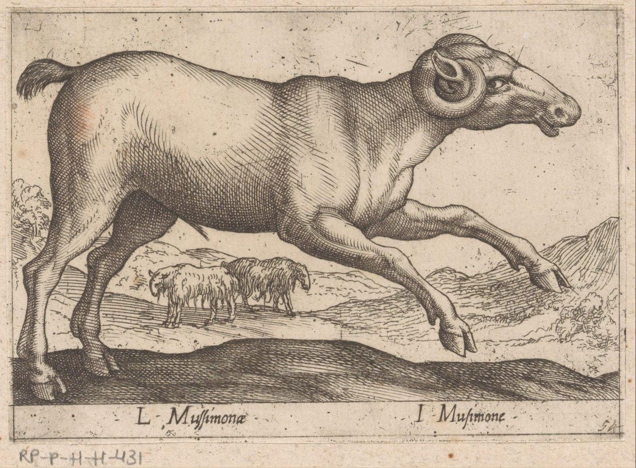 kozí L Mussimonae/ I Musimone (název na objektu) Dieren en fablewezens (název série) Nová kolekce nejkurióznějších zvířat světa (název série) od Antonio Tempesta
