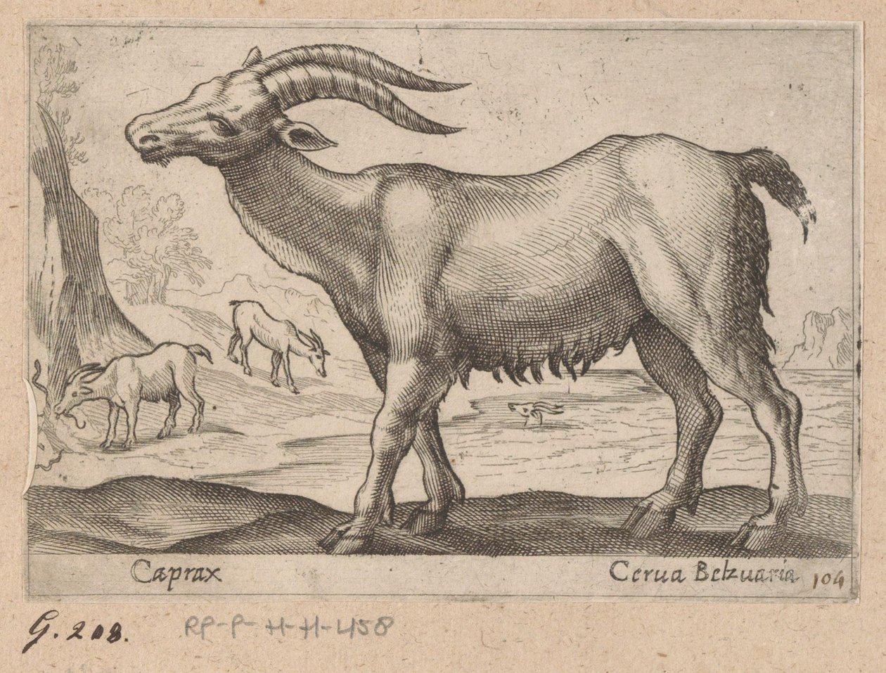 Drahokamy Caprax/ Cerua Belzuaria (název na objektu) Dieren en fablewezens (název série) Nová kolekce nejkurióznějších zvířat světa (název série) od Antonio Tempesta
