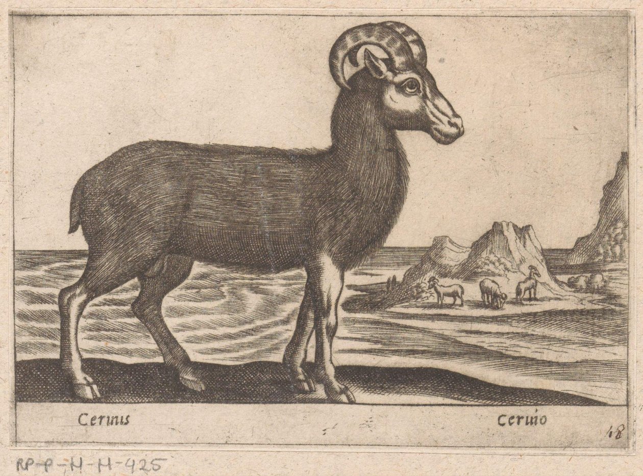 Drahokamy Cerinis / Ceruio (název na objektu) Dieren en fabelwezens (název série) Nova sbírka nejkurióznějších zvířat na světě (název série) od Antonio Tempesta