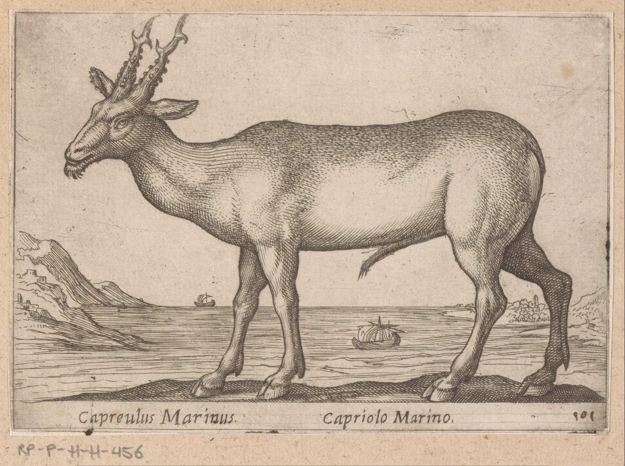 Hert Capreulus Marinus/ Capriolo Marino (název na objektu) Dieren en fablewezens (název série) Nová kolekce nejkurióznějších zvířat světa (název série) od Antonio Tempesta