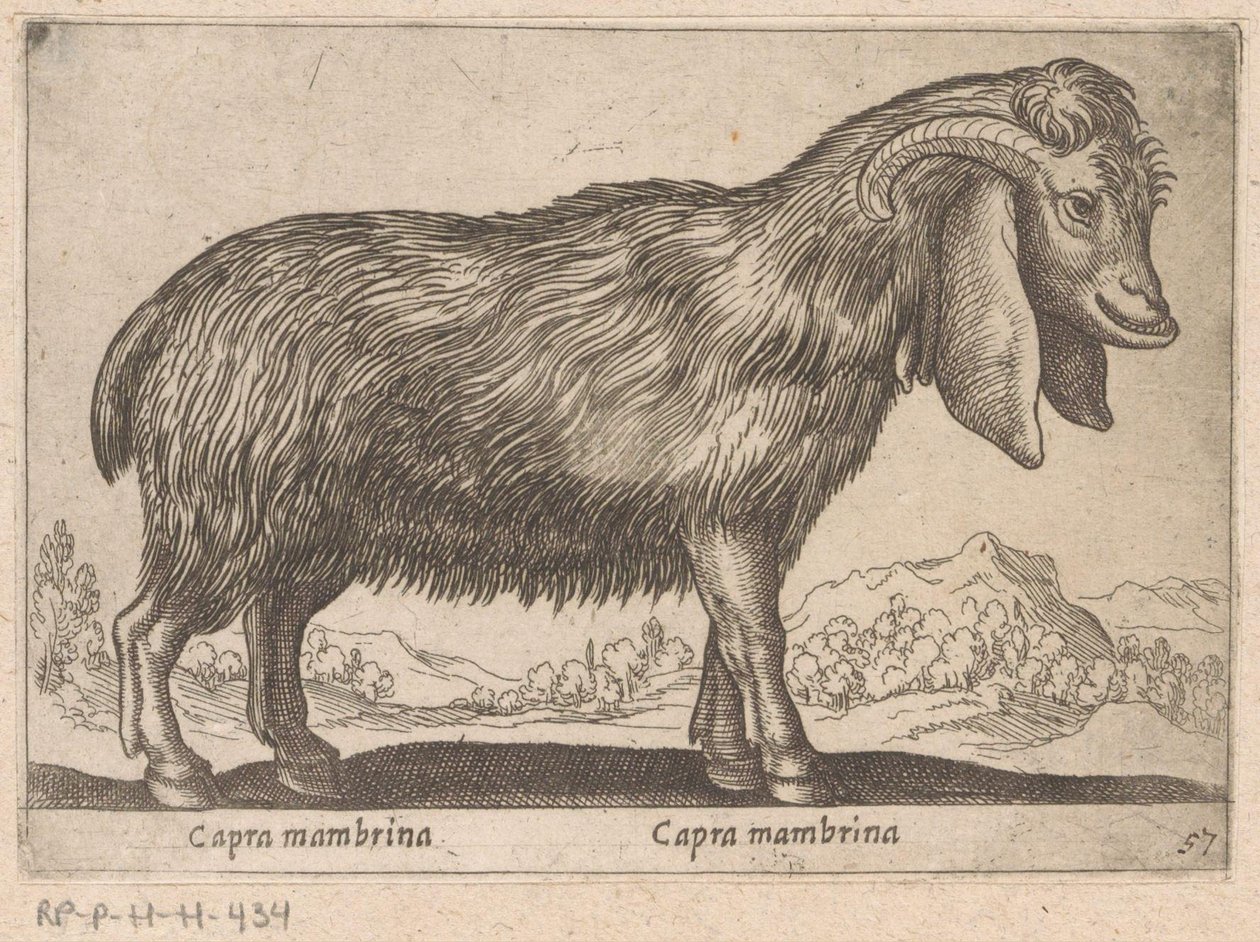 Membrina geit Capra mambrina/ Capra mambrina (název na objektu) Dieren en fablewezens (název série) Nová kolekce nejkurióznějších zvířat světa (název série) od Antonio Tempesta