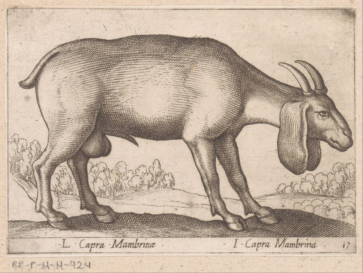 Membrina geit L Capra Mambrinae/ I Capra Mambrina (název na objektu) Dieren en fablewezens (název série) Nová kolekce nejkurióznějších zvířat světa (název série) od Antonio Tempesta