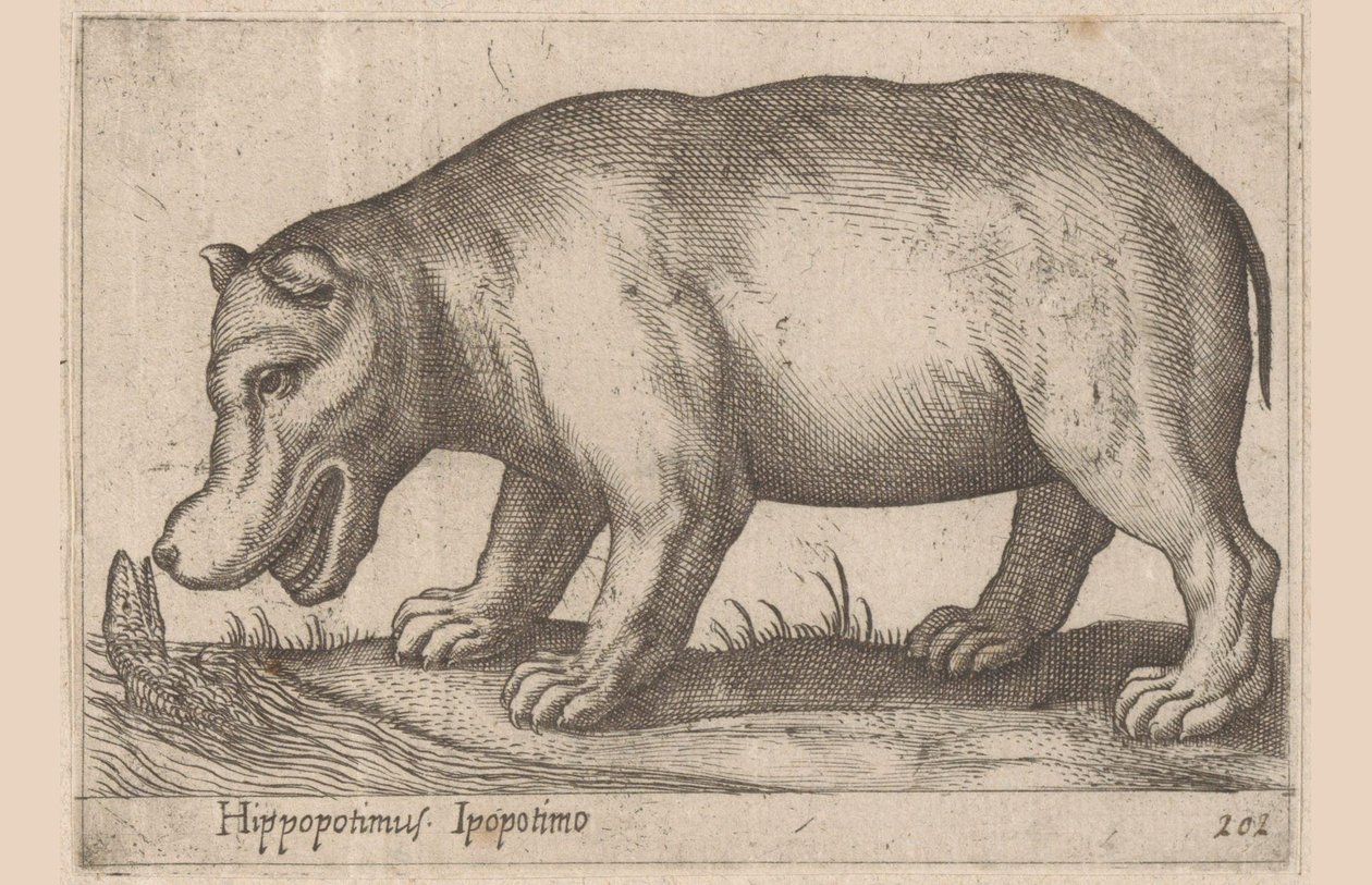 Hroch Hroch/Ippopotamo (název na objektu) Zvířata a mýtická stvoření (název série) Nova raccolta de li animali piu curiosi del mondo (název série) od Antonio Tempesta