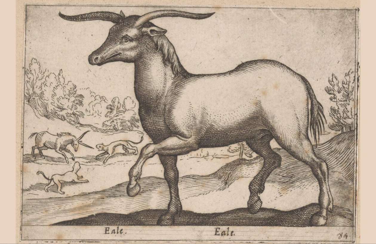 Kůň s rohy Eale/Eale (název na objektu) Zvířata a mýtická stvoření (název série) Nova raccolta de li animali piu curiosi del mondo (název série) od Antonio Tempesta