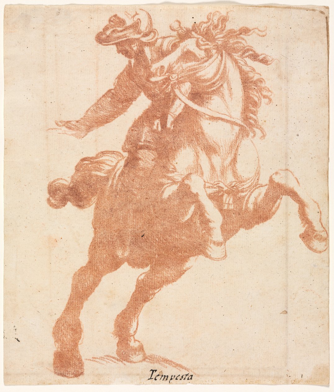 Steigendes Pferd und Reiter od Antonio Tempesta