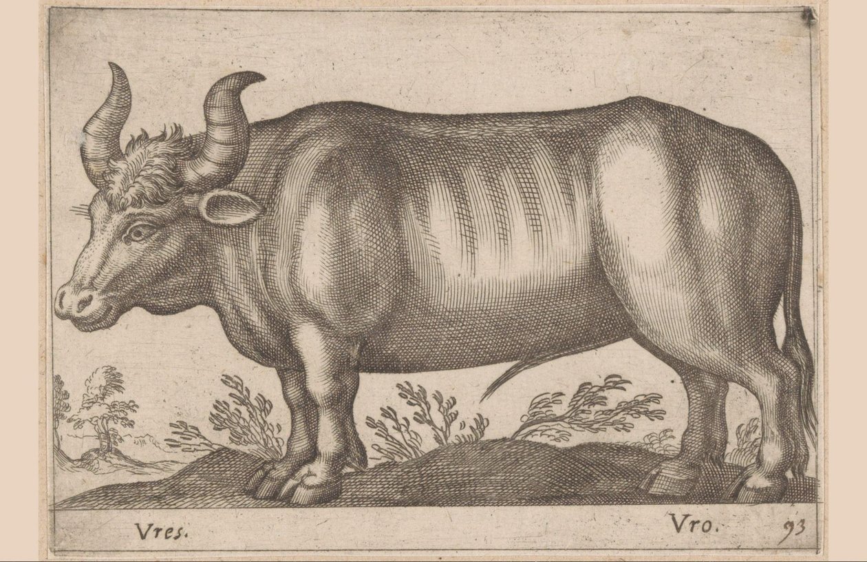 Kolo Vres/Vro (název na objektu) Zvířata a mýtická stvoření (název série) Nova raccolta de li animali piu curiosi del mondo (název série) od Antonio Tempesta