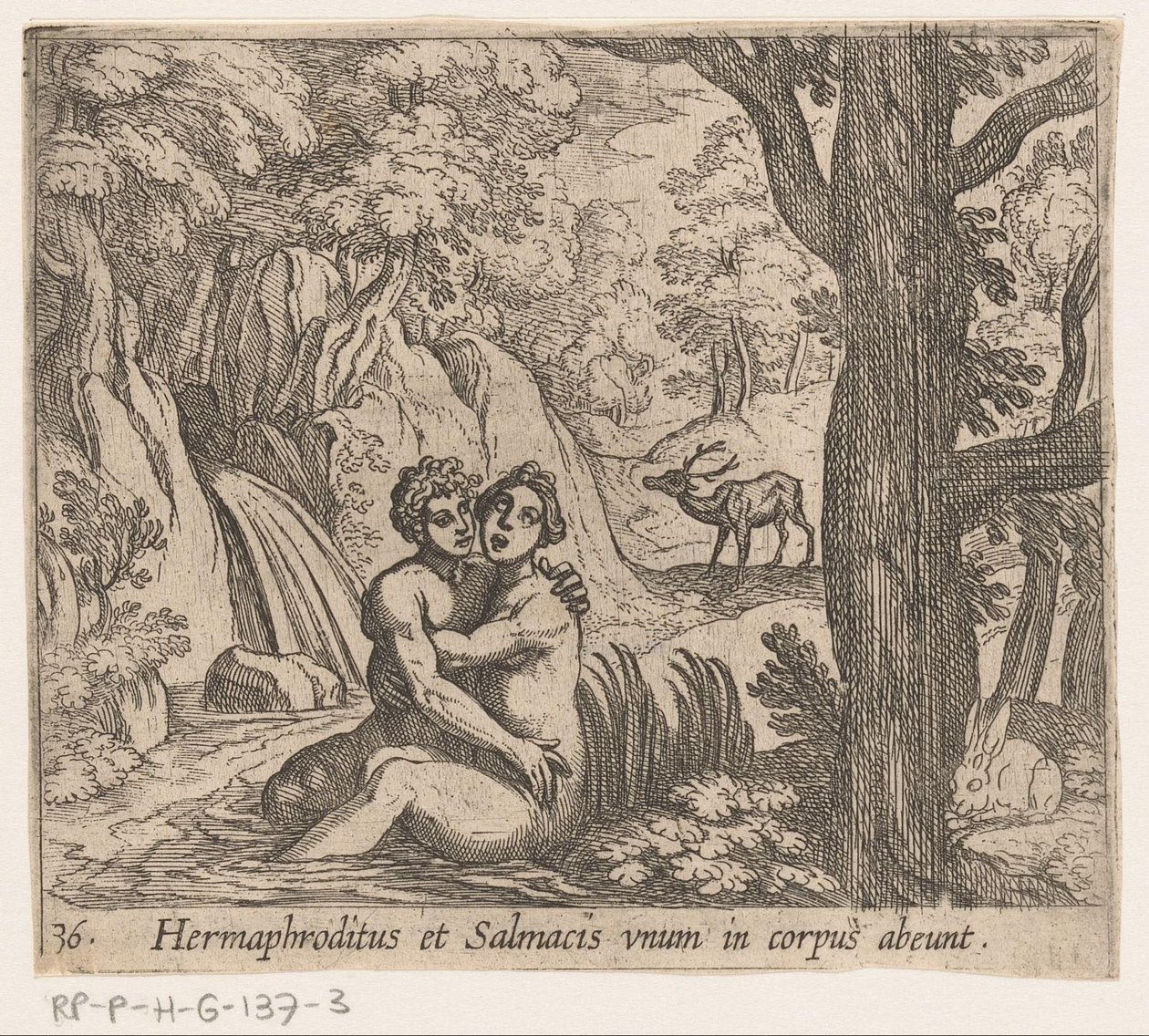 Salmacis a Hermaphroditus Hermaphroditus a Salmacius odcházejí jako jedno tělo (titul na předmětu) Metamorphoseon nebo transformace (název série) Metamorfosen van Ovidius (název série) od Antonio Tempesta