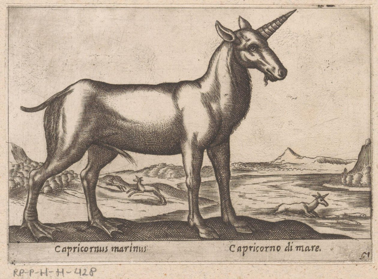Kozoroh jako mořský živočich Capricornus marinus/ Capricorno di mare (název na objektu) Zvířata a mýtická stvoření (název série) Nova raccolta de li animali piu curiosi del mondo (název série) od Antonio Tempesta