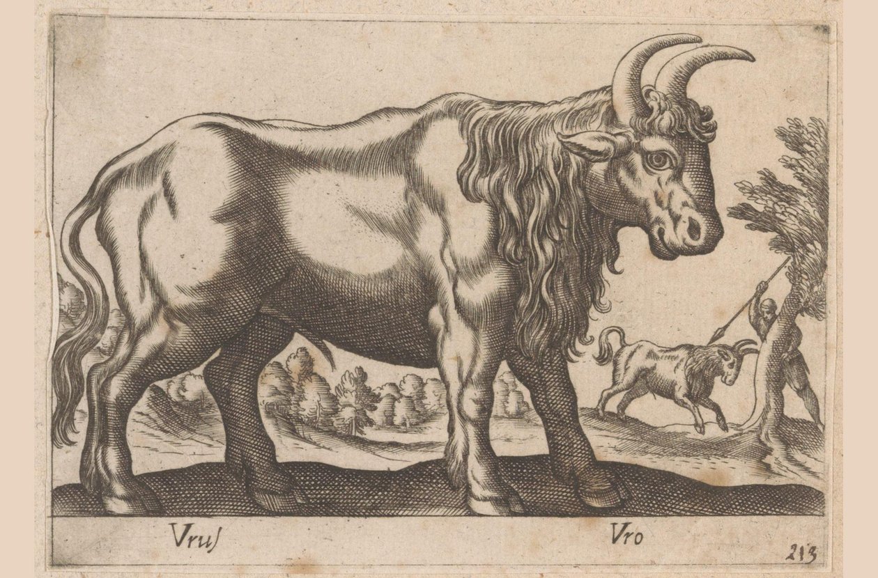 Býk Vrus/Vro (název na objektu) Dieren en fablewezens (název série) Nová kolekce nejkurióznějších zvířat světa (název série) od Antonio Tempesta