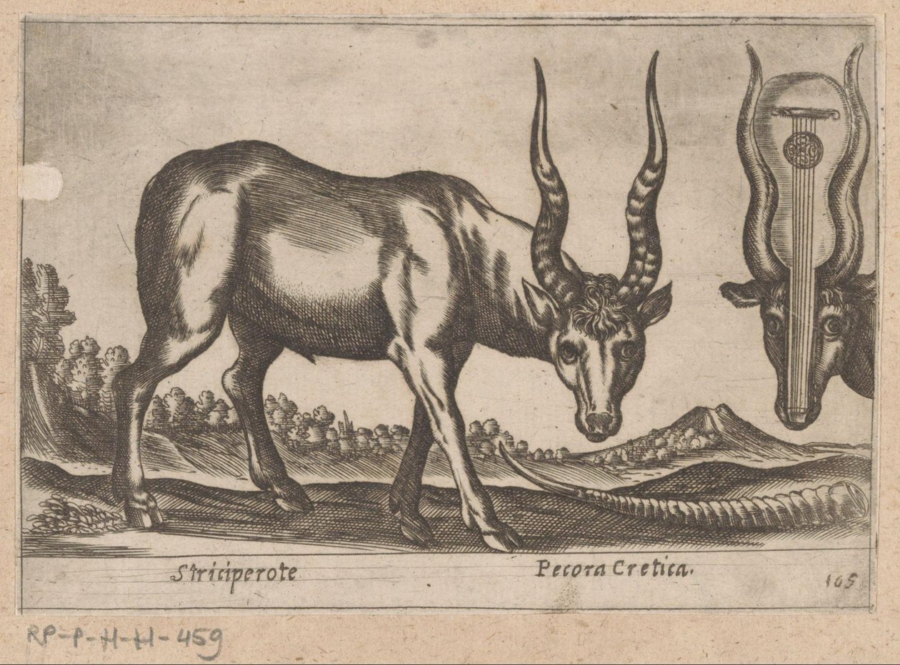 Dvě antilopy Striciperote/ Krétský dobytek (název na objektu) Dieren en fablewezens (název série) Nova raccolta de li animali piu curiosi del mondo (název série) od Antonio Tempesta