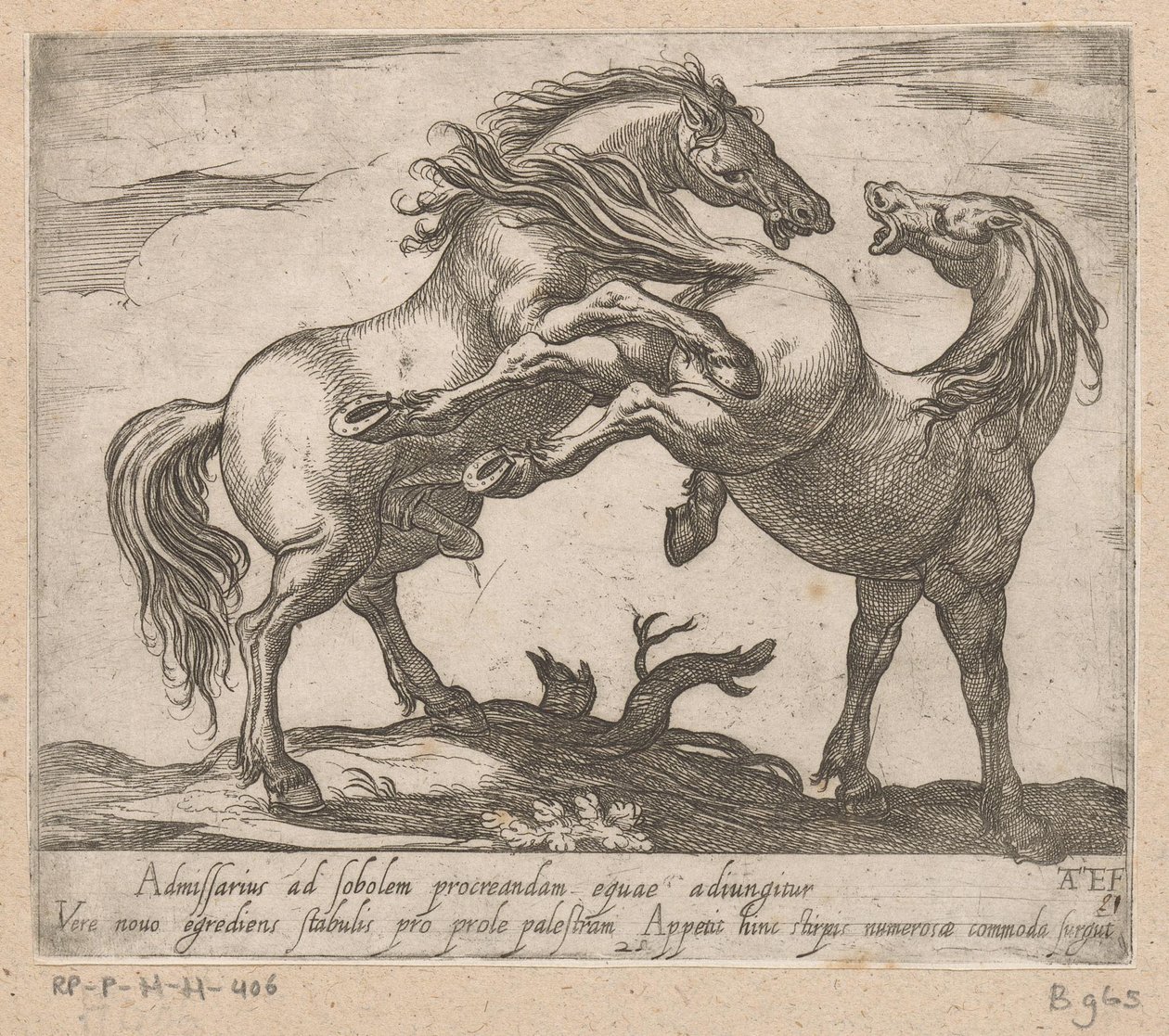 Twee Parende Paarden Paarden uit verschiedelde landen (název série) S těmito vůdci budete oslavováni jako vůdce s viroru ústy. od Antonio Tempesta