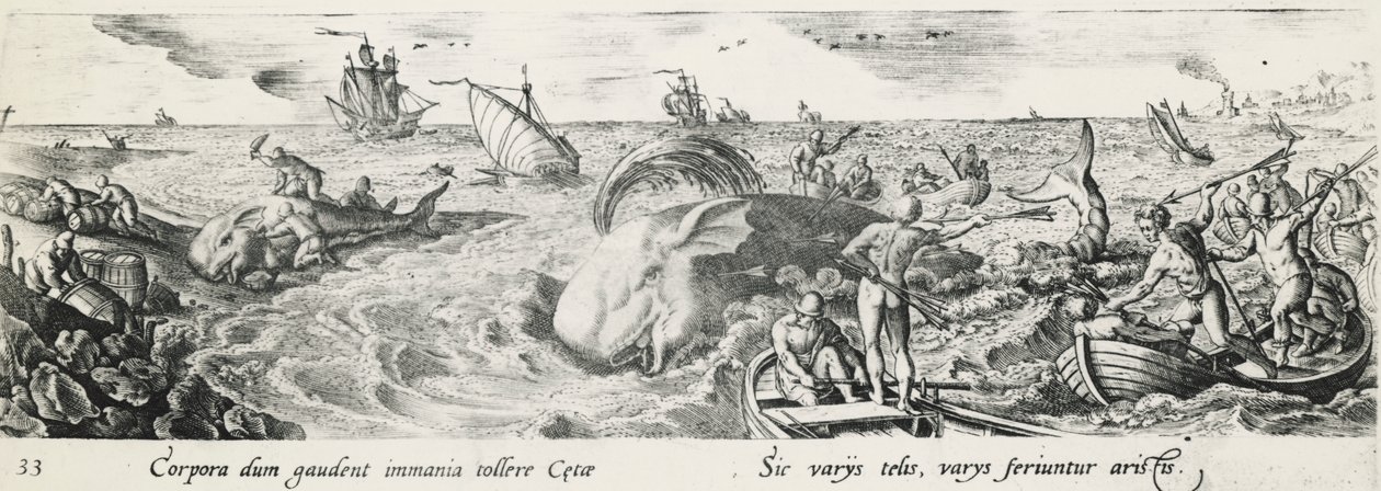 Lov velryb, Antonio Tempesta (1555-1630), rytina, Itálie od Antonio Tempesta