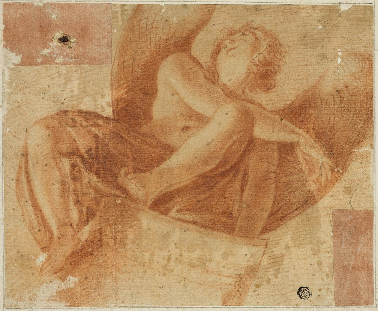 Předčasně zkrácený anděl od Antonio da Correggio
