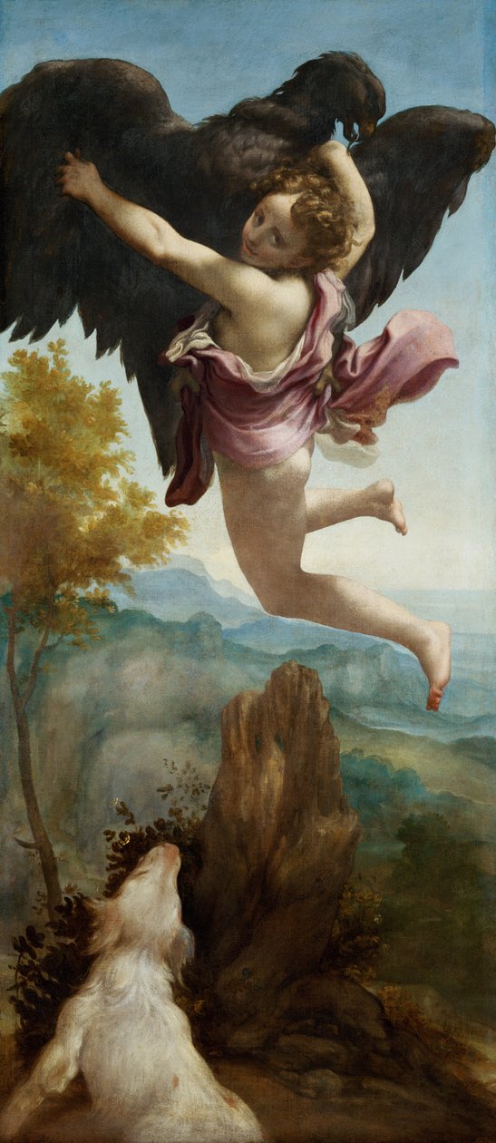 Znásilnění Ganymeda, 1520-1540 od Antonio da Correggio
