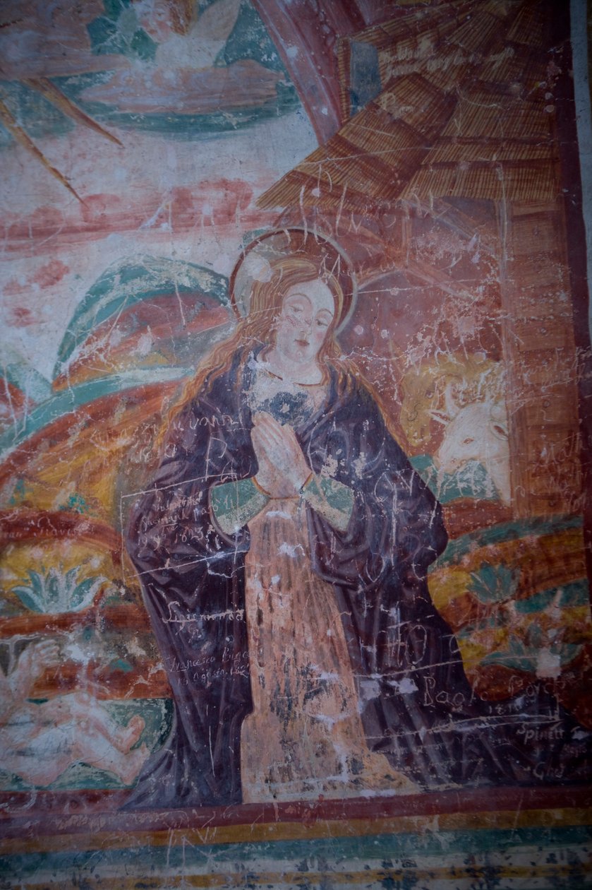 Madona, detail z Narození Páně od Antonio da Padova