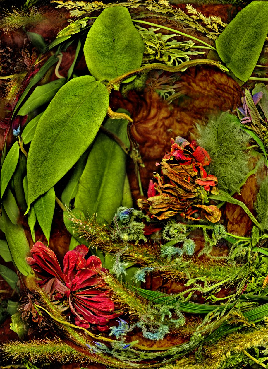  od Antonius Antonius