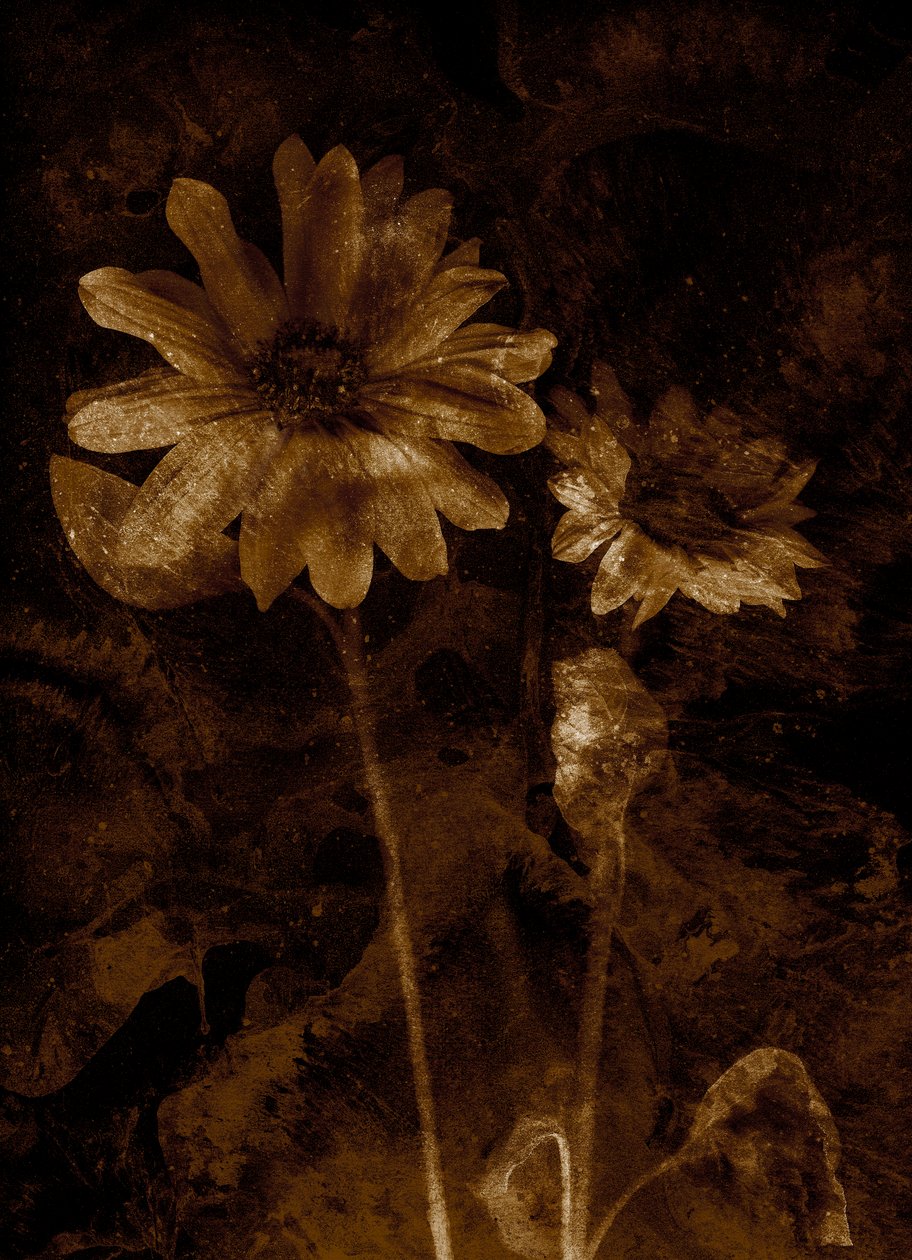  od Antonius Antonius