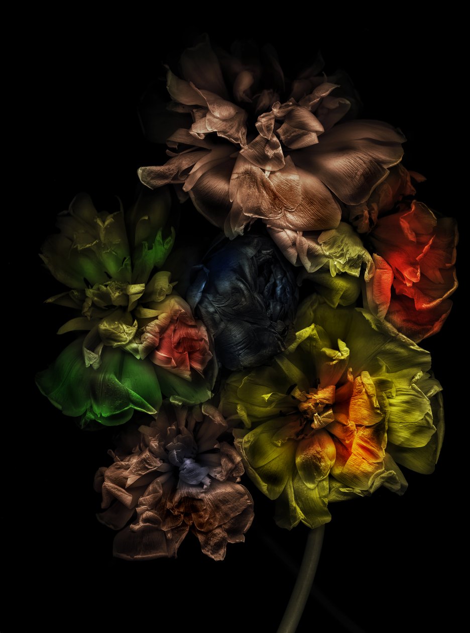  od Antonius Antonius